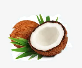 海南大椰汁免抠