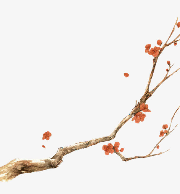 梅花花枝手绘图片免抠