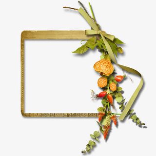 边框矢量图卡通边框素材 花草装免抠