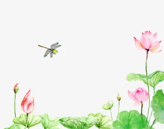 绿色清新文艺荷花装饰图案免抠