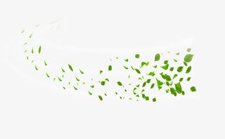 唯美炫光线条漂浮树叶免抠