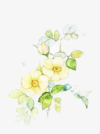 茉莉花的美好图片素材免抠