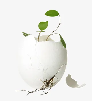 田园风风格装饰图片免抠