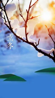 湖景立秋树枝雪景阳光高清