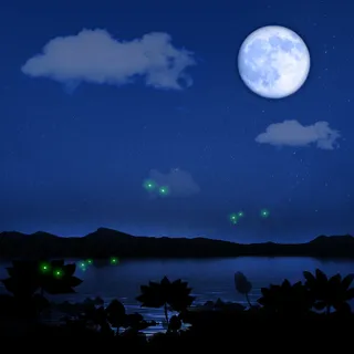 荷塘夜色背景图高清 荷塘夜色背景图高清