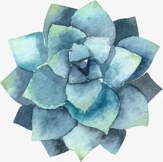 小清新插画广告设计卡通绿色盆栽免抠