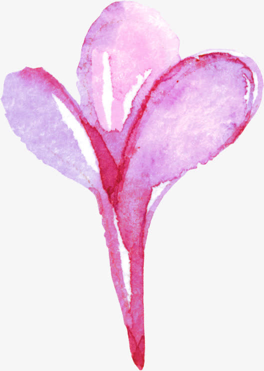 漂浮花免抠
