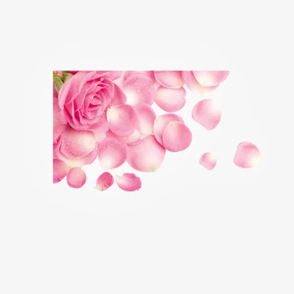 花瓣免抠