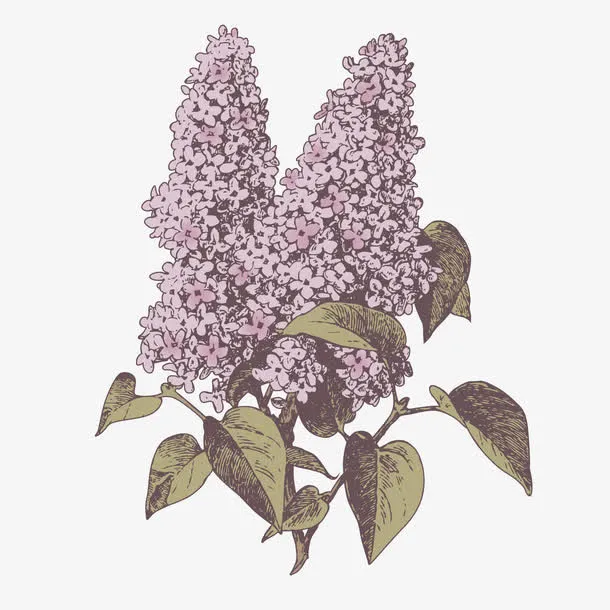 鲜花元素手绘花朵素材免抠