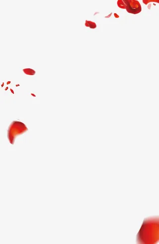漂浮樱花花瓣免抠