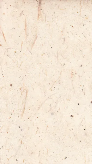 旧纸张纸张纹理免抠