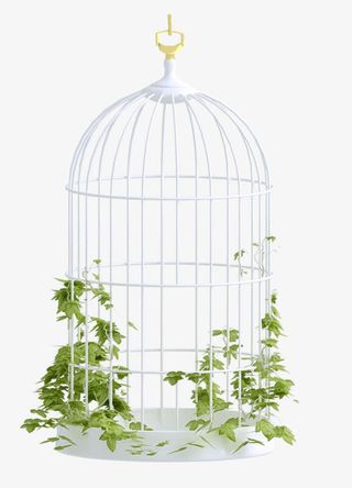 卡通手绘白色鸟笼免抠