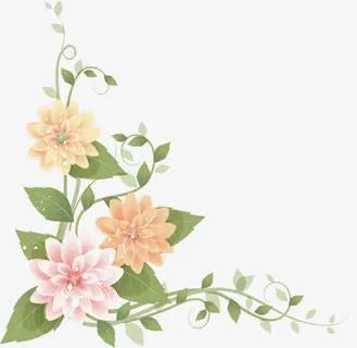 花边免抠 花边免抠