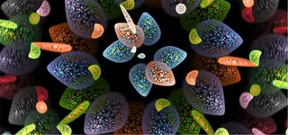 五彩碎花背景高清