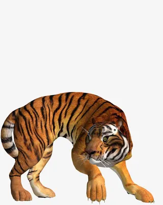 警惕的老虎免抠