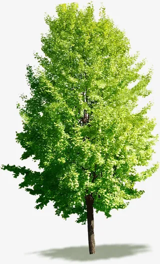 春天城市美化景观装饰免抠