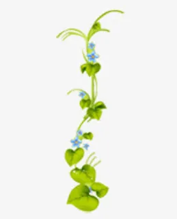 藤蔓，草，绿叶免抠