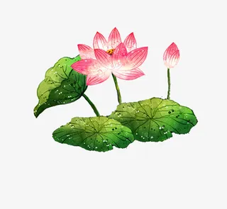 夏天荷叶荷花装饰设计元素免抠