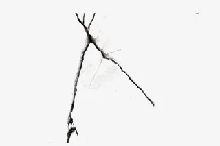 泥土的缝隙免抠