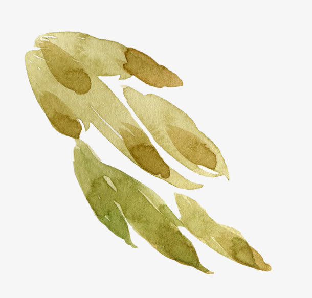 水彩手绘植物免抠