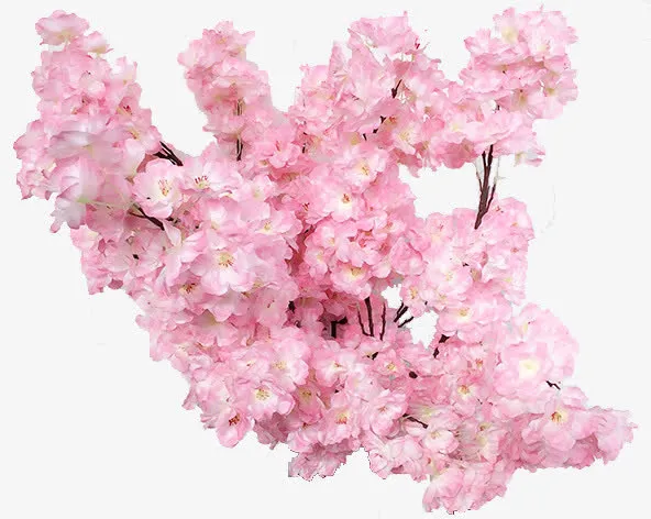 春天粉色树枝桃花免抠