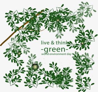 精致生动的绿叶背景