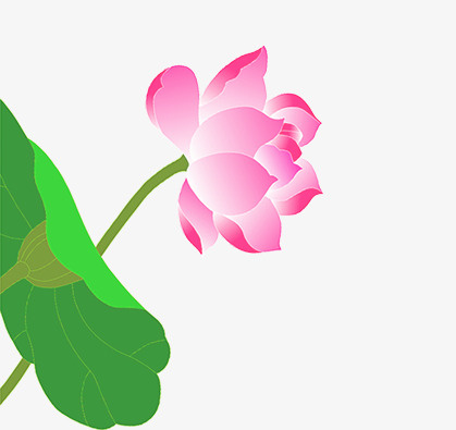 花卉免抠