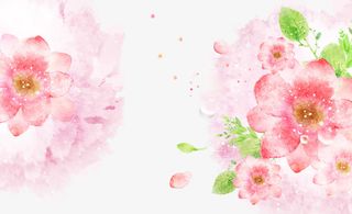 手绘精美牡丹花免抠