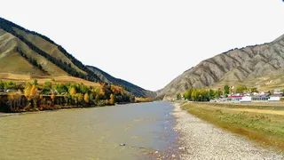 河西走廊九免抠