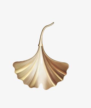 金叶子银杏叶免抠