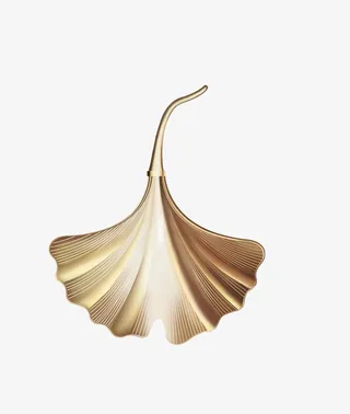 金叶子银杏叶免抠