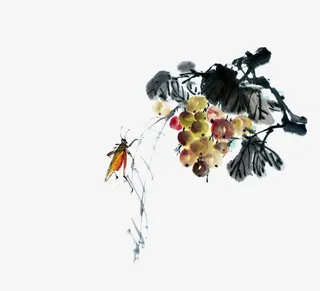 蛐蛐和花朵免抠