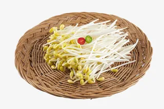 簸箕里的黄豆芽免抠