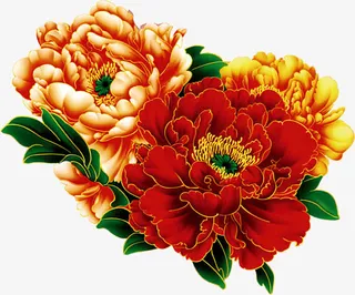 带金边的牡丹花免抠