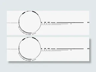 圆形黑色简笔轮廓直线免抠