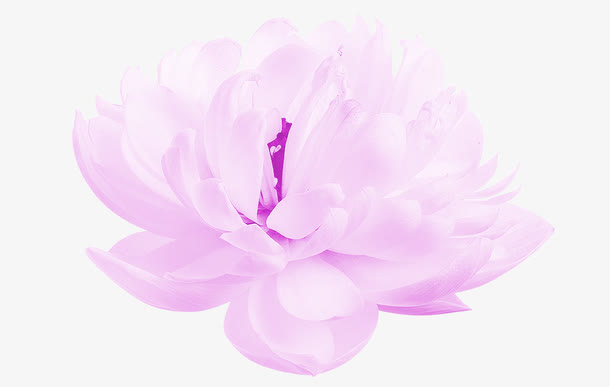 莲花免抠