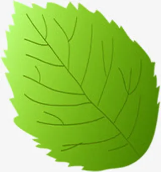 春天手绘纹理树叶免抠