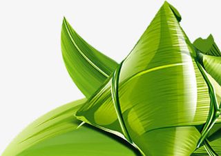 感恩端午节卡通粽子免抠