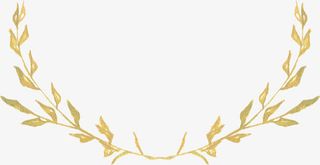 扁平风格手绘形状树叶花卉边框免抠