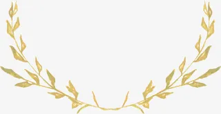 扁平风格手绘形状树叶花卉边框免抠