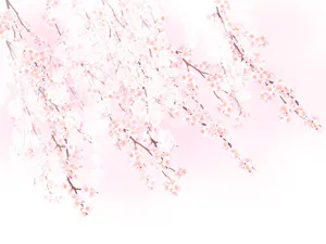 樱花紫藤PNG免抠