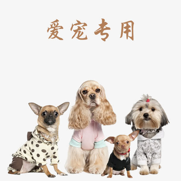 爱宠专用宠物店宣传单免抠