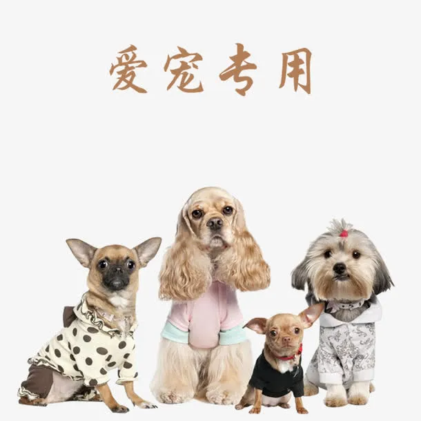 爱宠专用宠物店宣传单免抠
