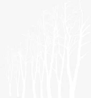 白色树枝婚礼装扮免抠