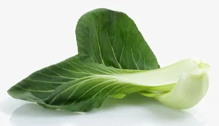 新鲜的油菜蔬菜免抠