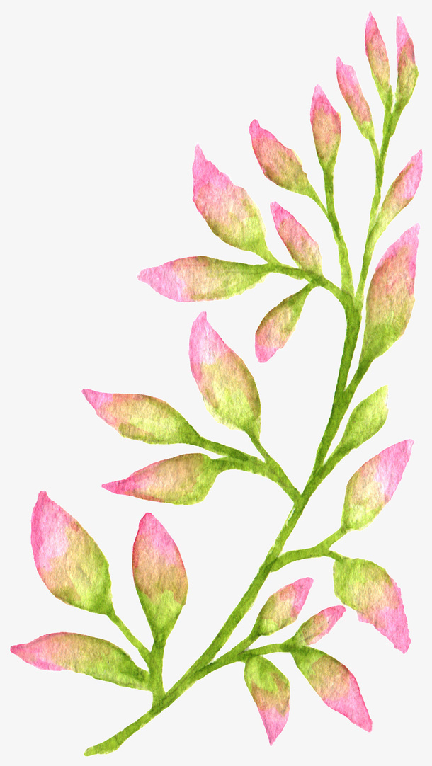 粉嫩花卉图片素材免抠