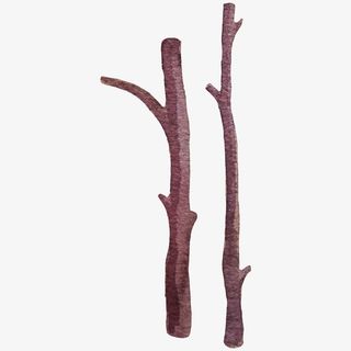 手绘水彩树枝免抠