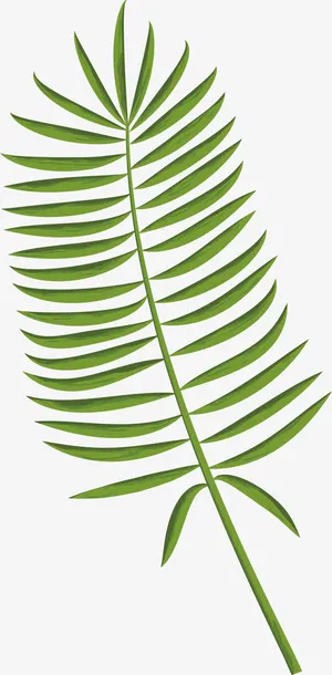 绿色叶子PNG下载免抠