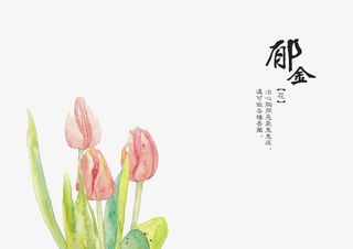 手绘中医中药素材免抠