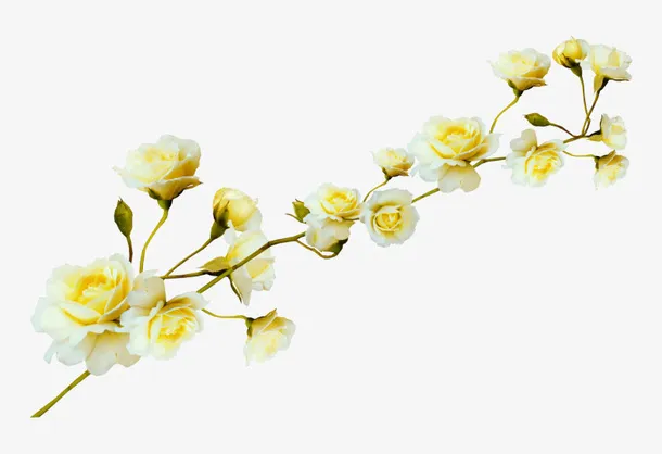 花免抠